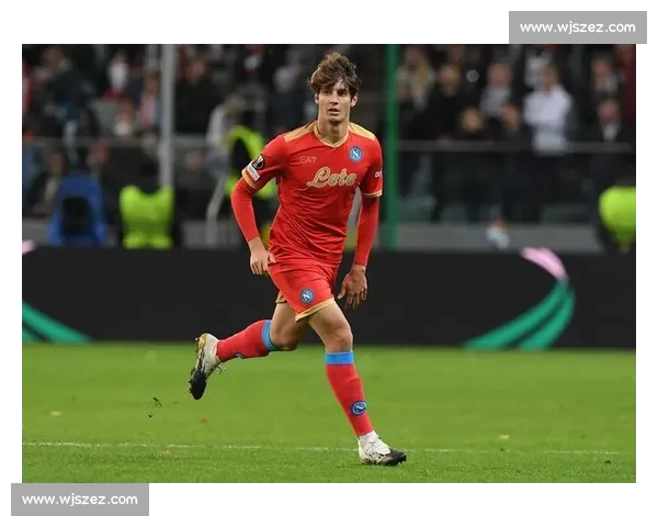 意甲双雄竞逐那不勒斯右后卫扎诺利 意甲双雄竞逐那不勒斯右后卫扎诺利