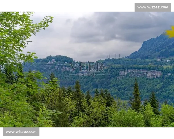 瑞典vs瑞士北欧力量与阿尔卑斯坚韧的正面对决前瞻看点解析全景